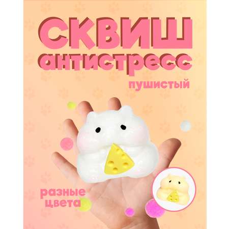 Сквиш Винтер в ассортименте