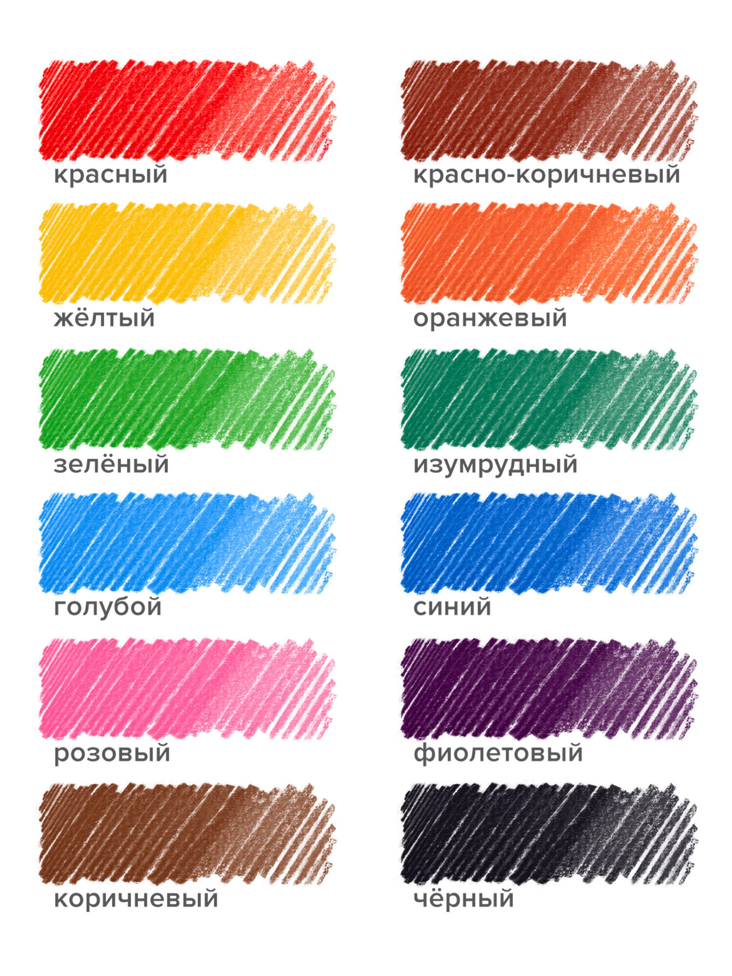 Карандаши цветные Brauberg 12 шт. - фото 2