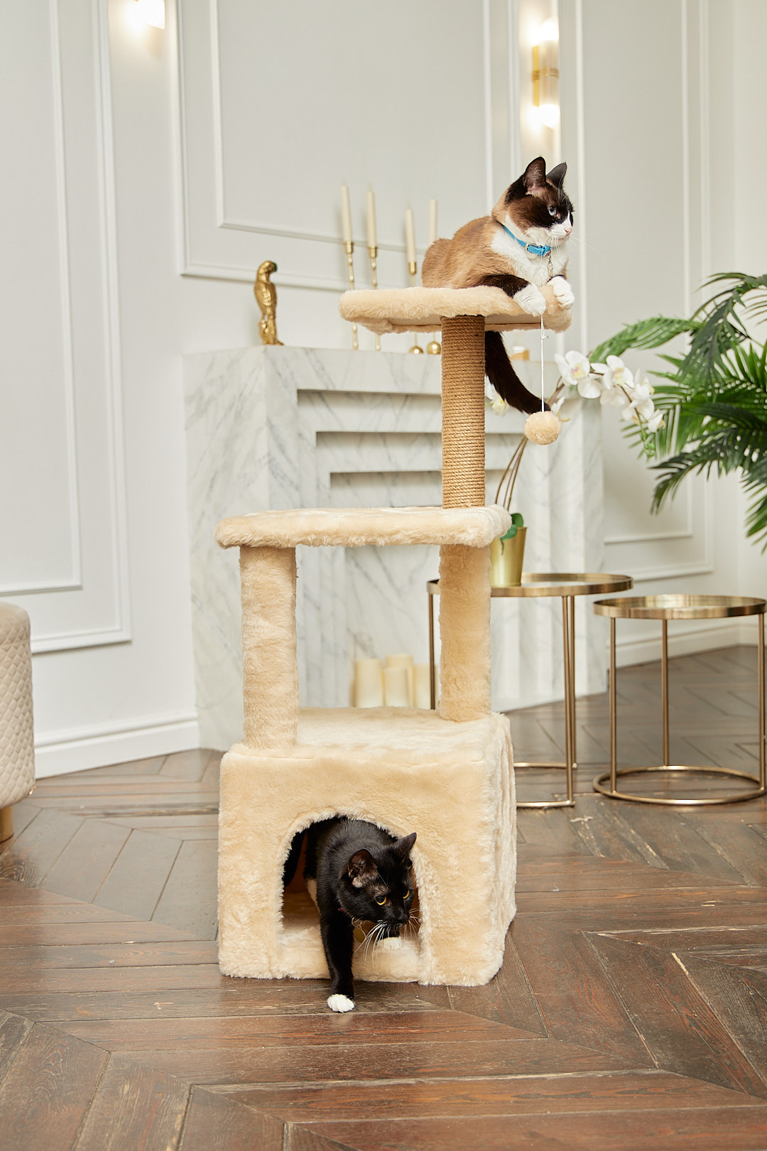 Домик для кошки с когтеточкой Pet БМФ Бежевый - фото 2