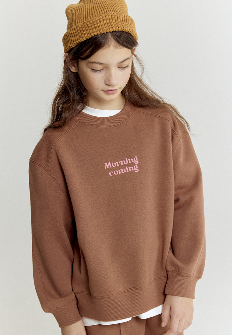 Свитшот artie W25K02T-1333D/Коричневый - фото 2