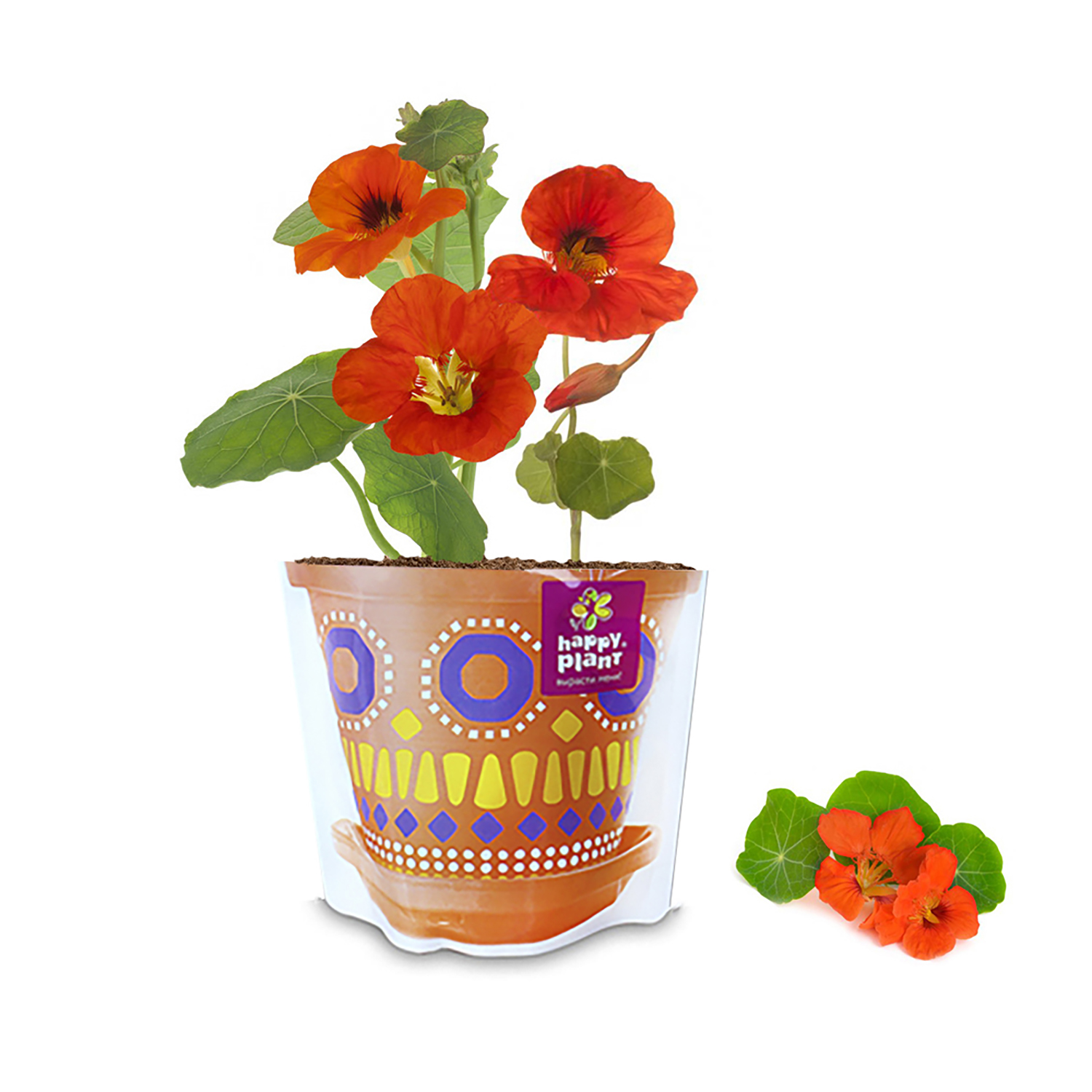 Набор для выращивания Happy Plant - фото 3