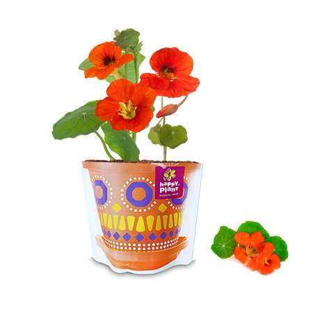 Набор для выращивания Happy Plant
