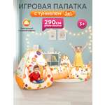 Палатка Рыжий кот