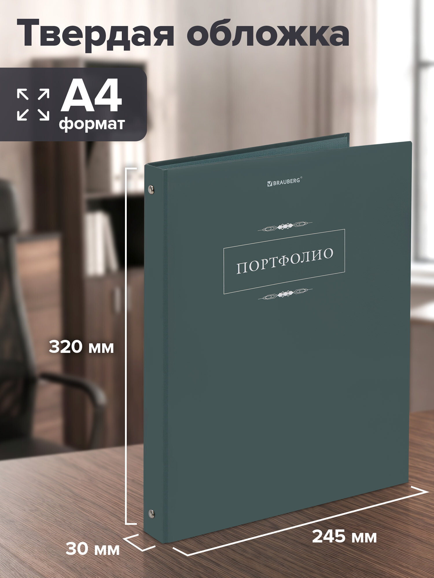 Портфолио школьника Brauberg папка А4 на кольцах 20 файлов для девочки и мальчика - фото 3