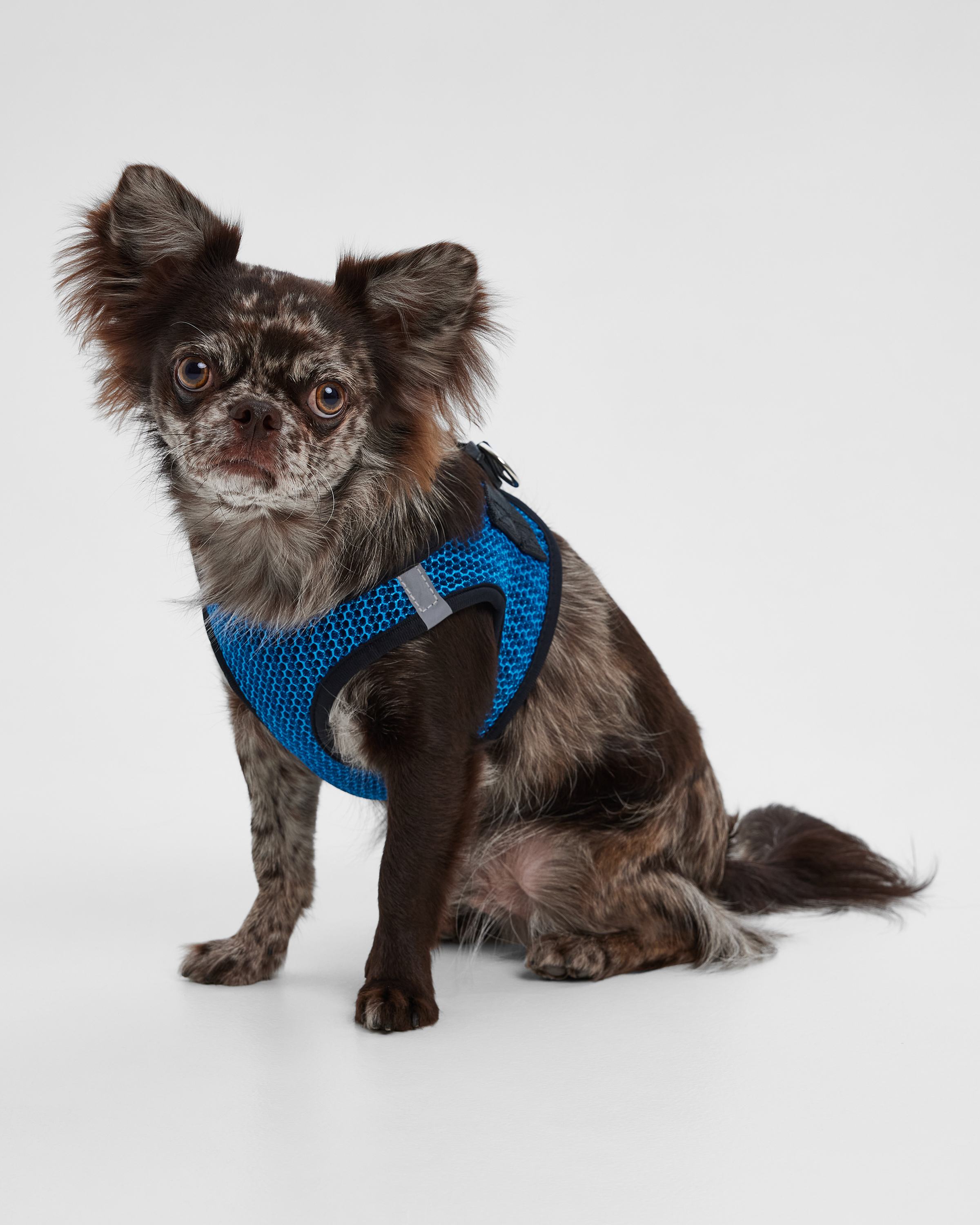 Шлейка-жилетка для собак Barbaks синяя сетка M 18*42-48см полиэстер - фото 3