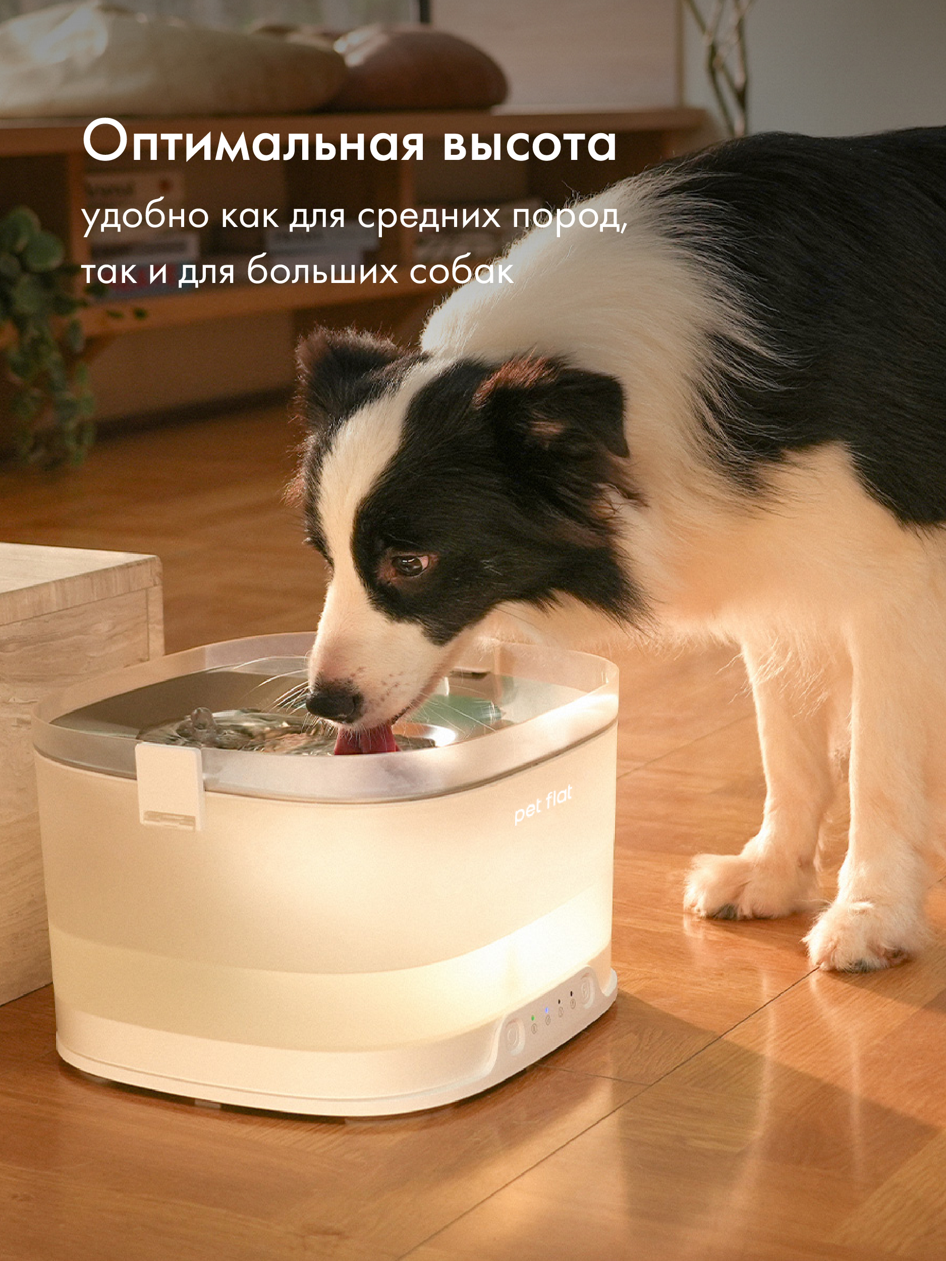 Поилка-фонтан автоматическая Pet Flat Беспроводная, с датчиком движения - фото 5