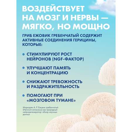 Ежовик гребенчатый мицелий Guten Morgen капсулы 700 мг для мозга и памяти, ions mane