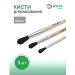 Кисть Astra Craft 3 шт. (белка)