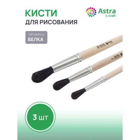 Кисть Astra Craft 3 шт. (белка)
