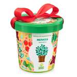 Набор для выращивания Happy Plant