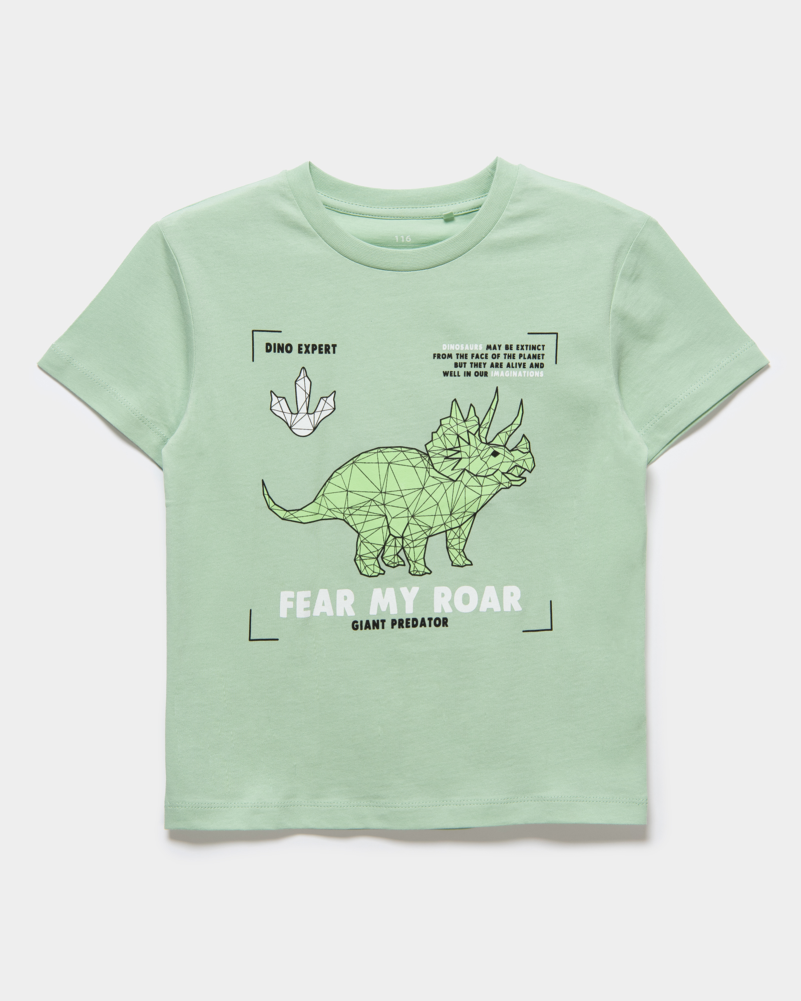 Футболка Futurino W24FU1-F00627kb-44 - фото 2