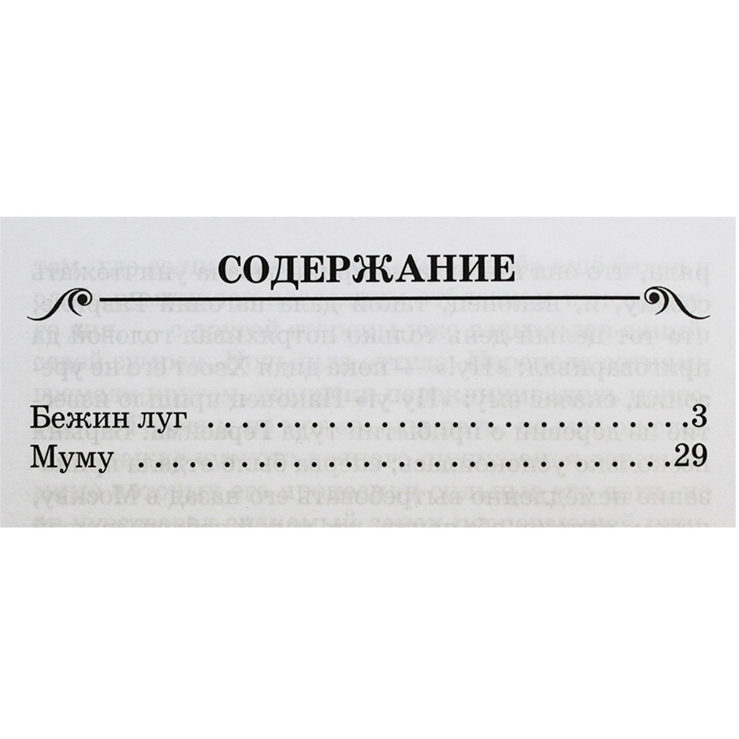 Книга Искатель Бежин луг. Муму - фото 2