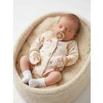 Боди Эскимо