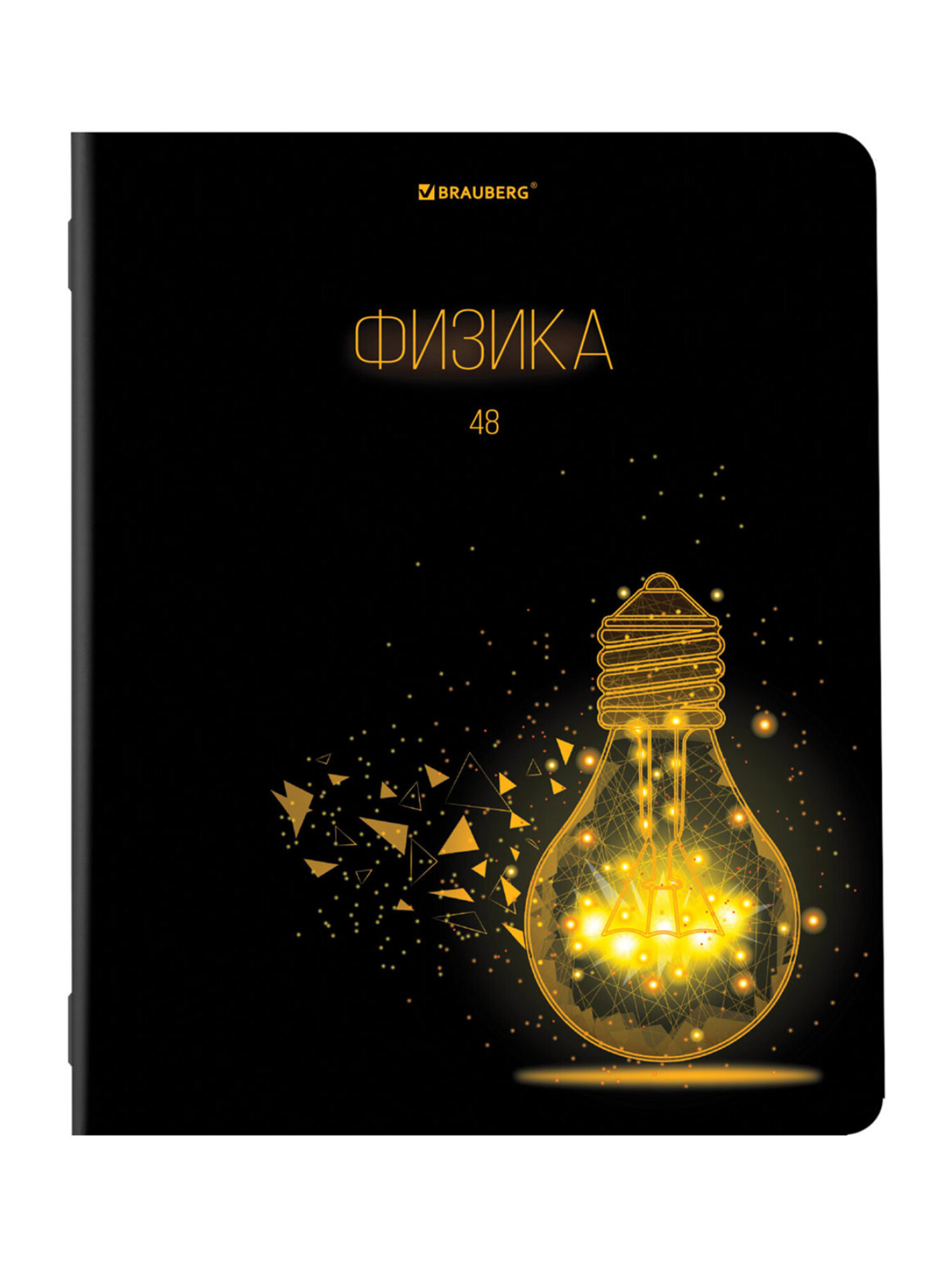 Тетрадь Brauberg 48 лист. 12 шт. - фото 18