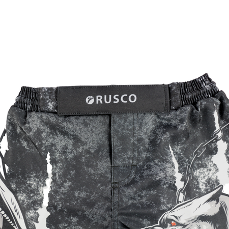Шорты RuscoSport