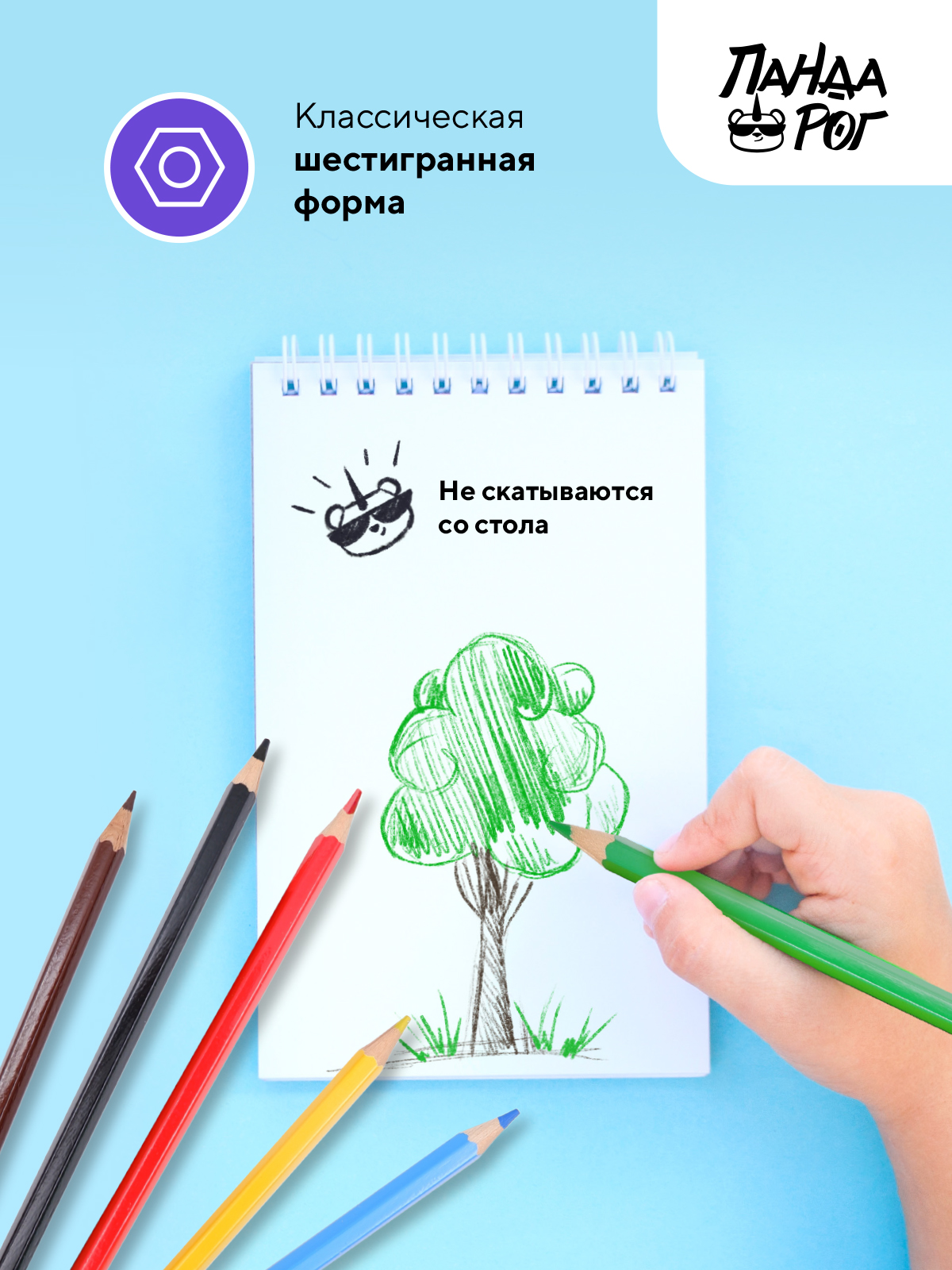 Карандаши цветные ПАНДАРОГ 24 шт. - фото 7