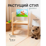 Стул Di toys
