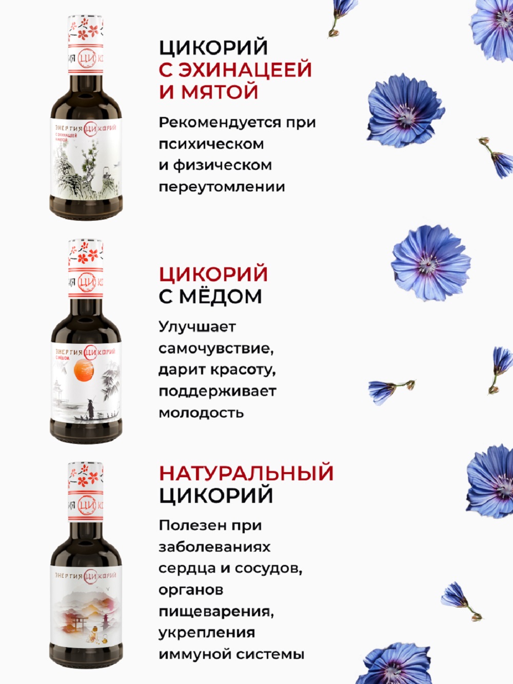Цикорий Энергия Ци экстракт растворимый жидкий - фото 6