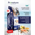 Корм для кошек сухой Pronature Holistic Atlantic для кожи и шерсти на лососе с рисом 2кг