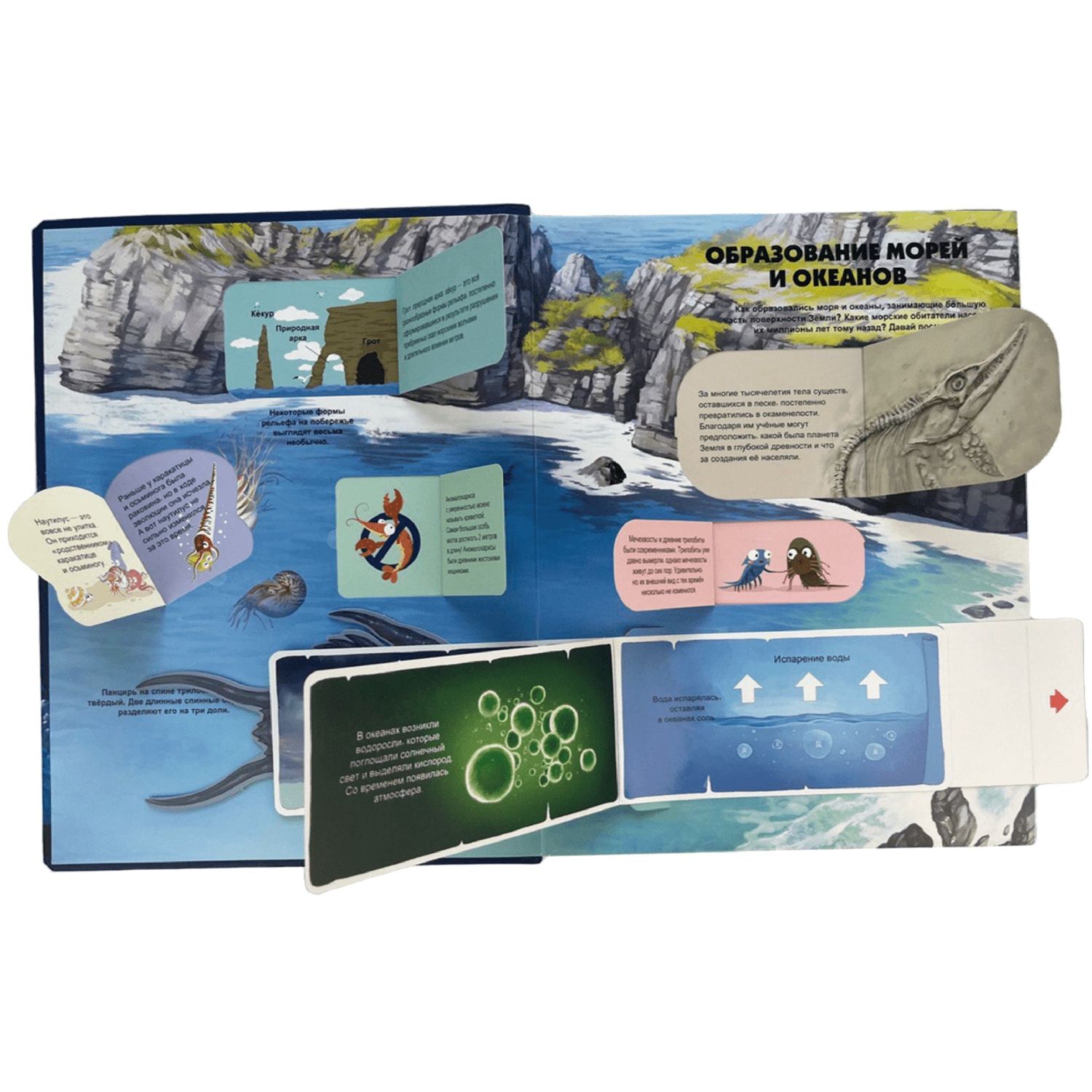 Книга Эксмо Тайны подводного мира Энциклопедия - фото 3