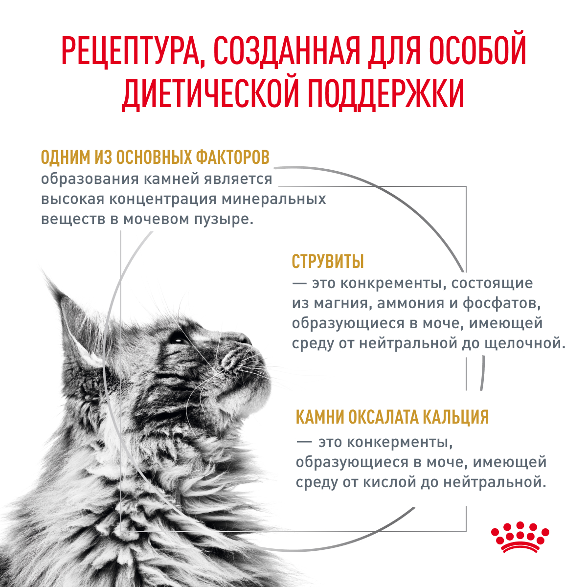 Корм для кошек ROYAL CANIN Veterinary Diet Urinary S/O LP34 Лечение и профилактика МКБ 7кг - фото 3