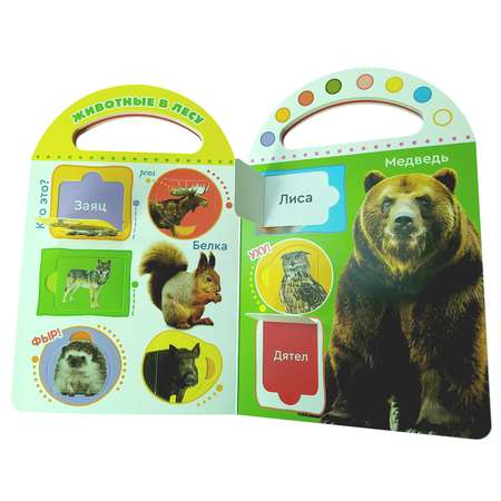Книга Мои первые 50животных 40+ обучающих окошек