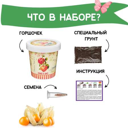 Набор для выращивания Rostok Visa