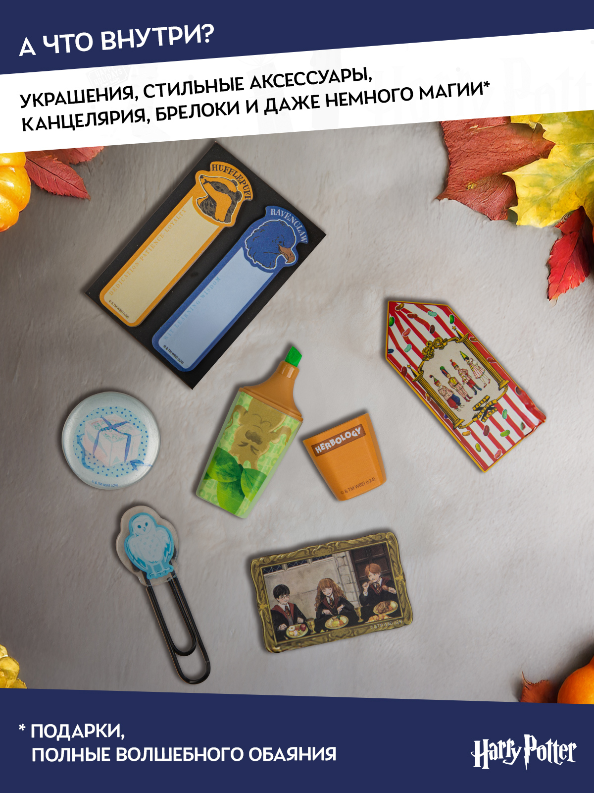 Адвент-календарь Harry Potter Гарри Поттер 2025 - фото 3