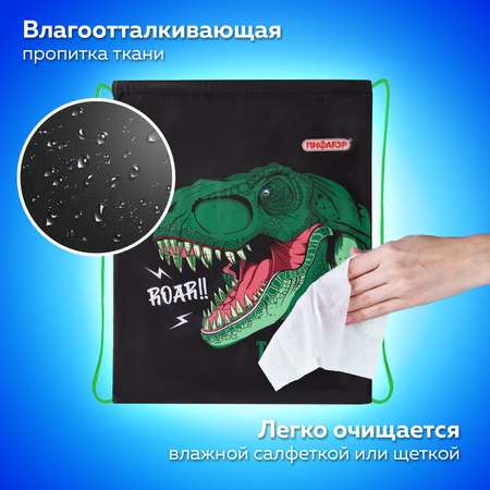 Мешок для обуви Пифагор