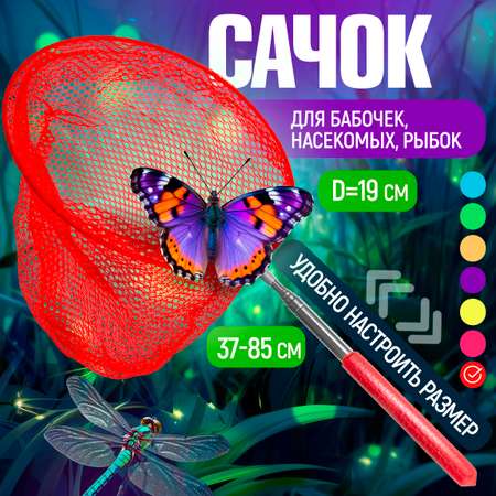 Сачок для бабочек телескопический 1TOY 37-85 см 1TOY детский для насекомых птиц рыбок 2в1 большой и маленький