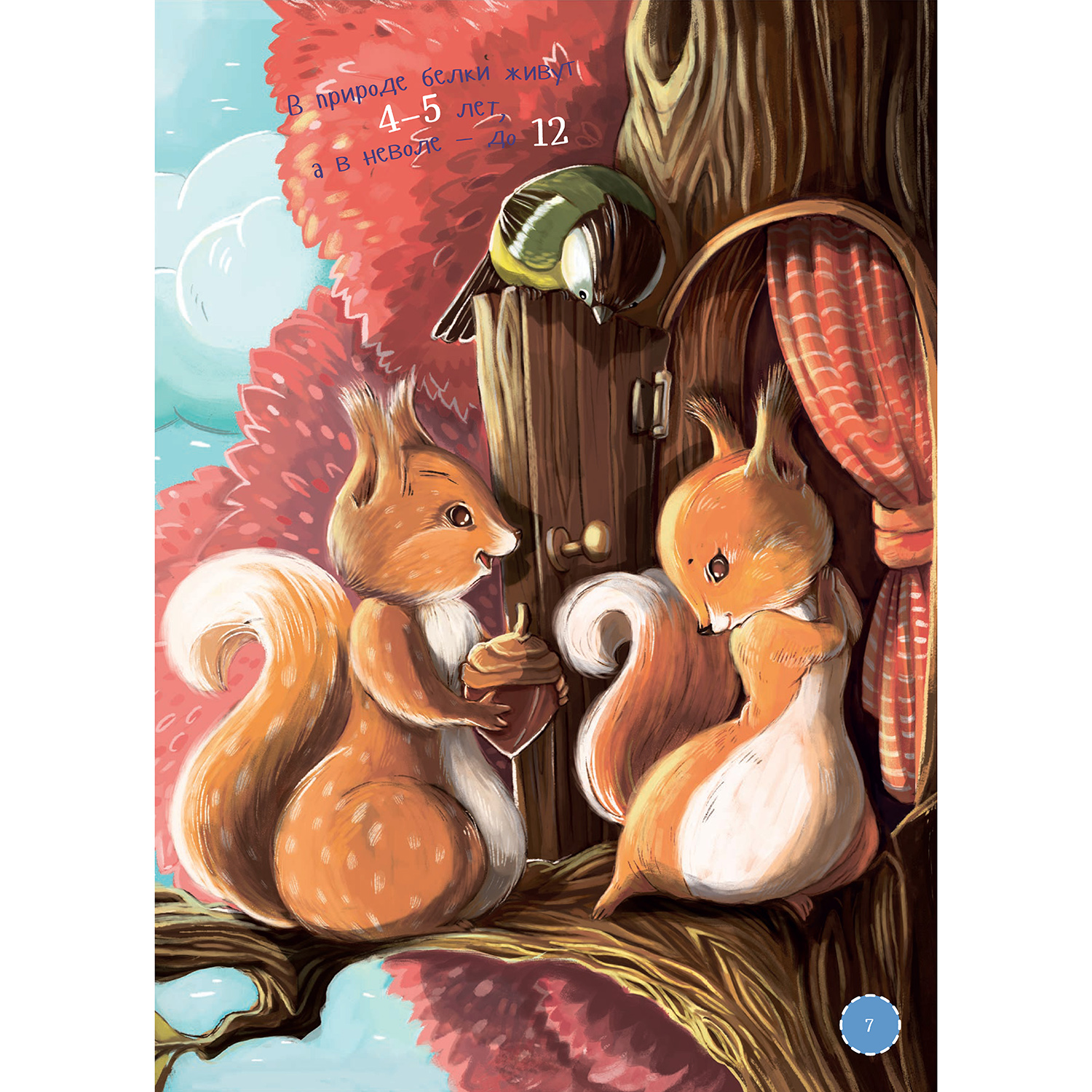 Книга Альпина. Дети Я белка - фото 8
