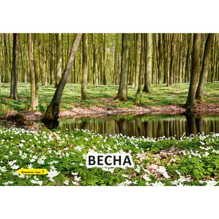 Карточки для умного развития ИД Литера Времена года. 0+