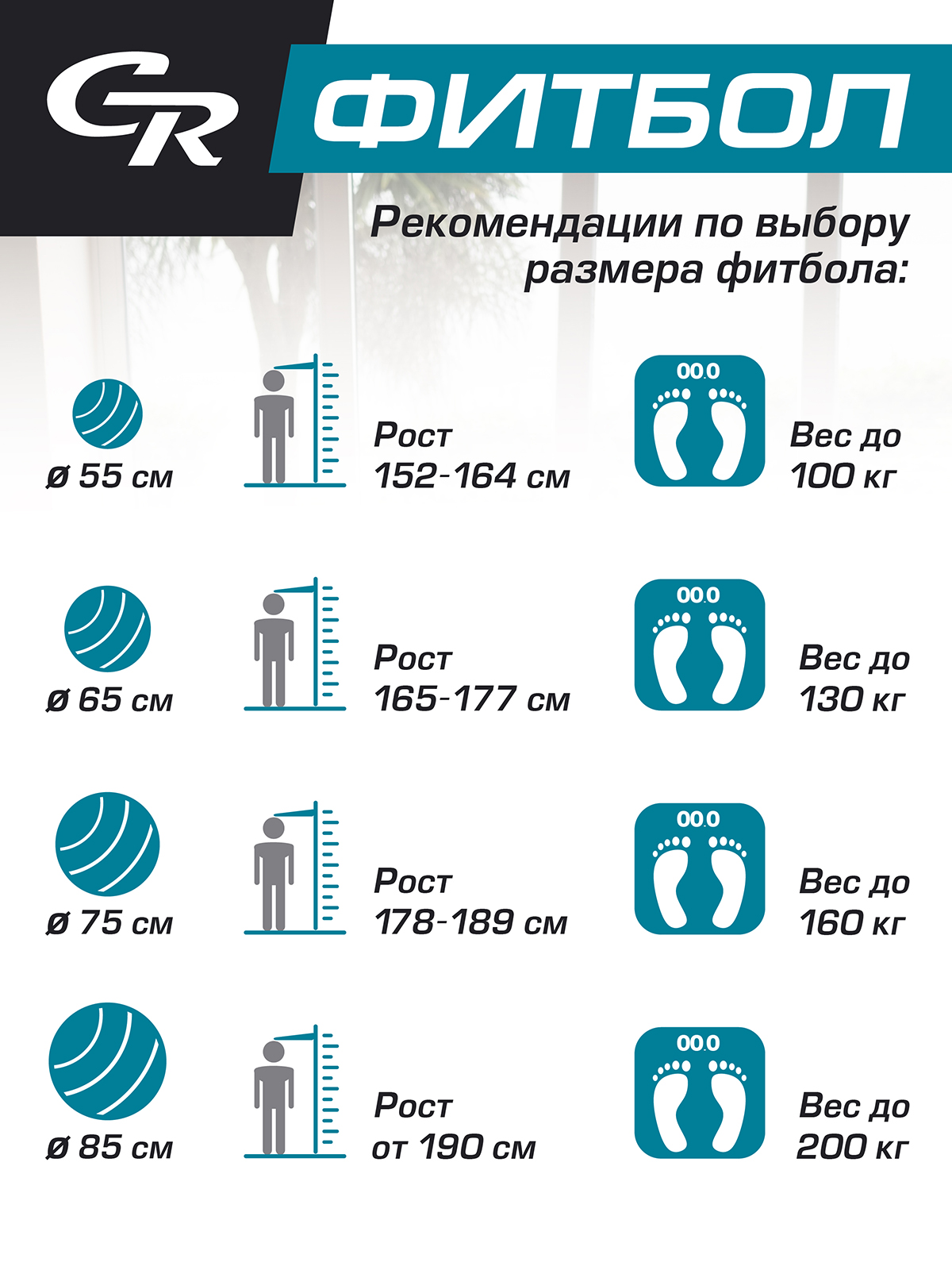Мяч гимнастический CITYRIDE Фитбол 65см - фото 3