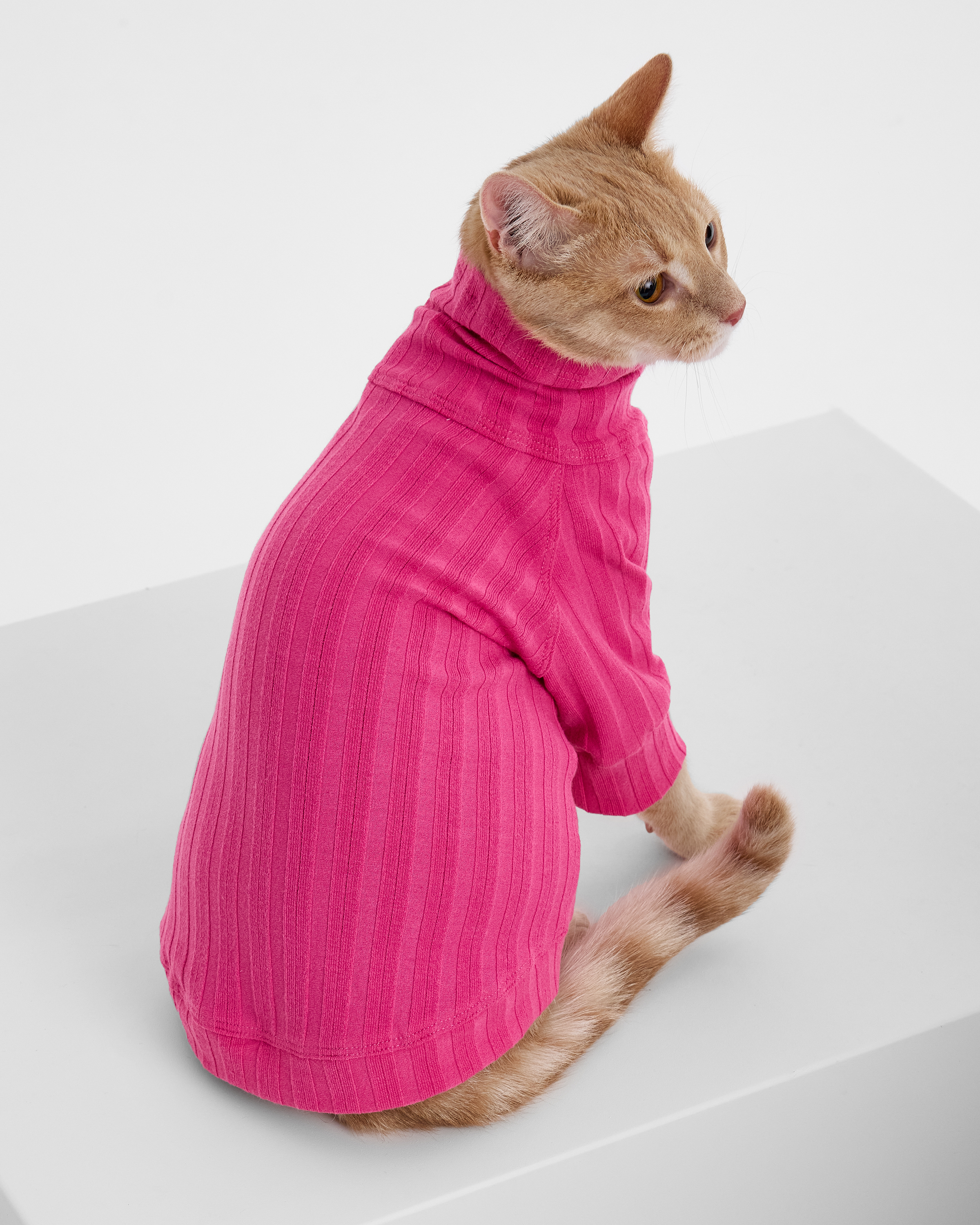 Водолазка для собак и кошек Зоозавр - фото 11