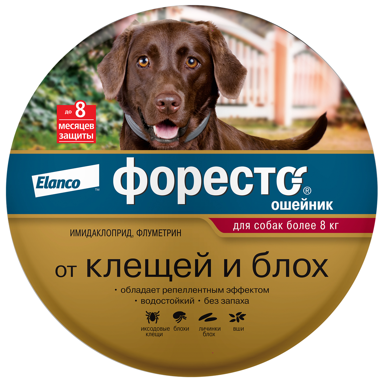 Ошейник для собак Elanco Foresto более 8кг от блох и клещей защита 8месяцев 70см 65494 - фото 1