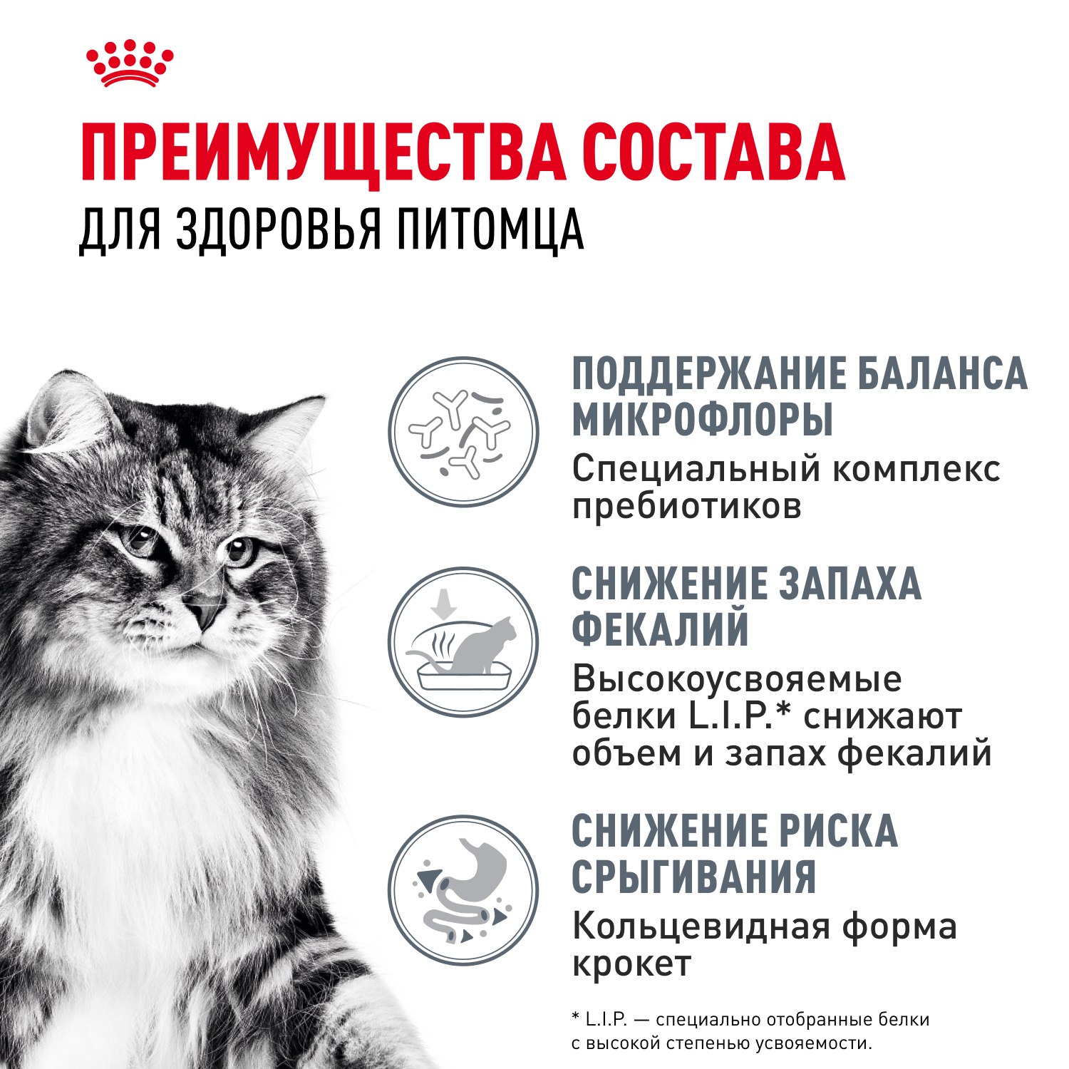 Корм сухой для кошек ROYAL CANIN 2кг Digestive care для поддержания здоровья пищеварительной системы - фото 4