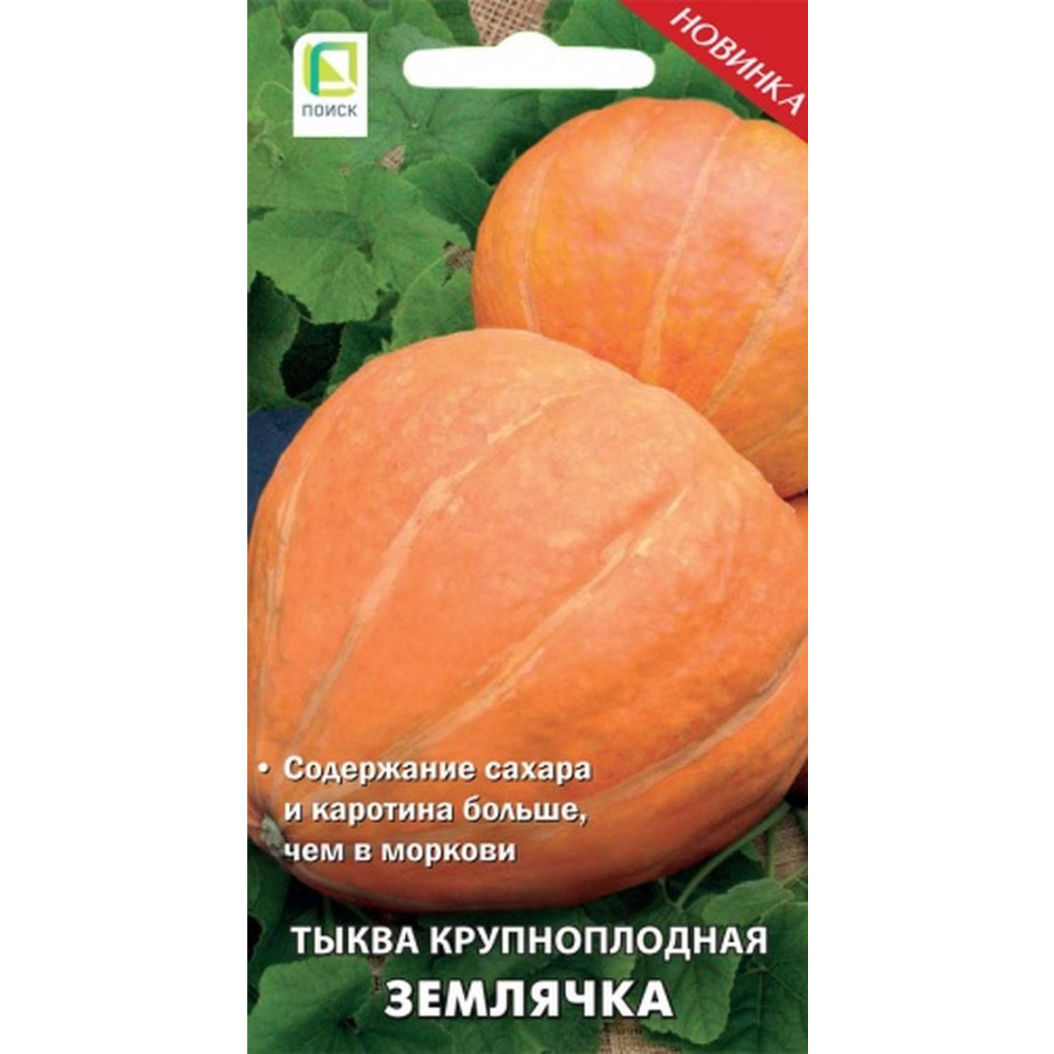 Тыква крупноплодная ПОИСК Землячка (А) 10шт - фото 1