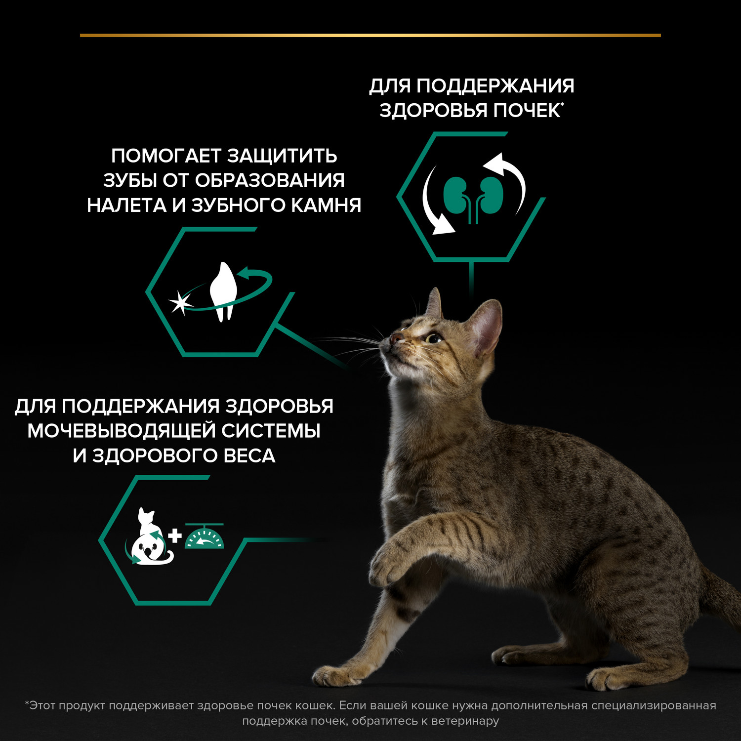 Корм сухой для кошек PRO PLAN RENAL PLUS 10 кг с кроликом для стерилизованных - фото 4