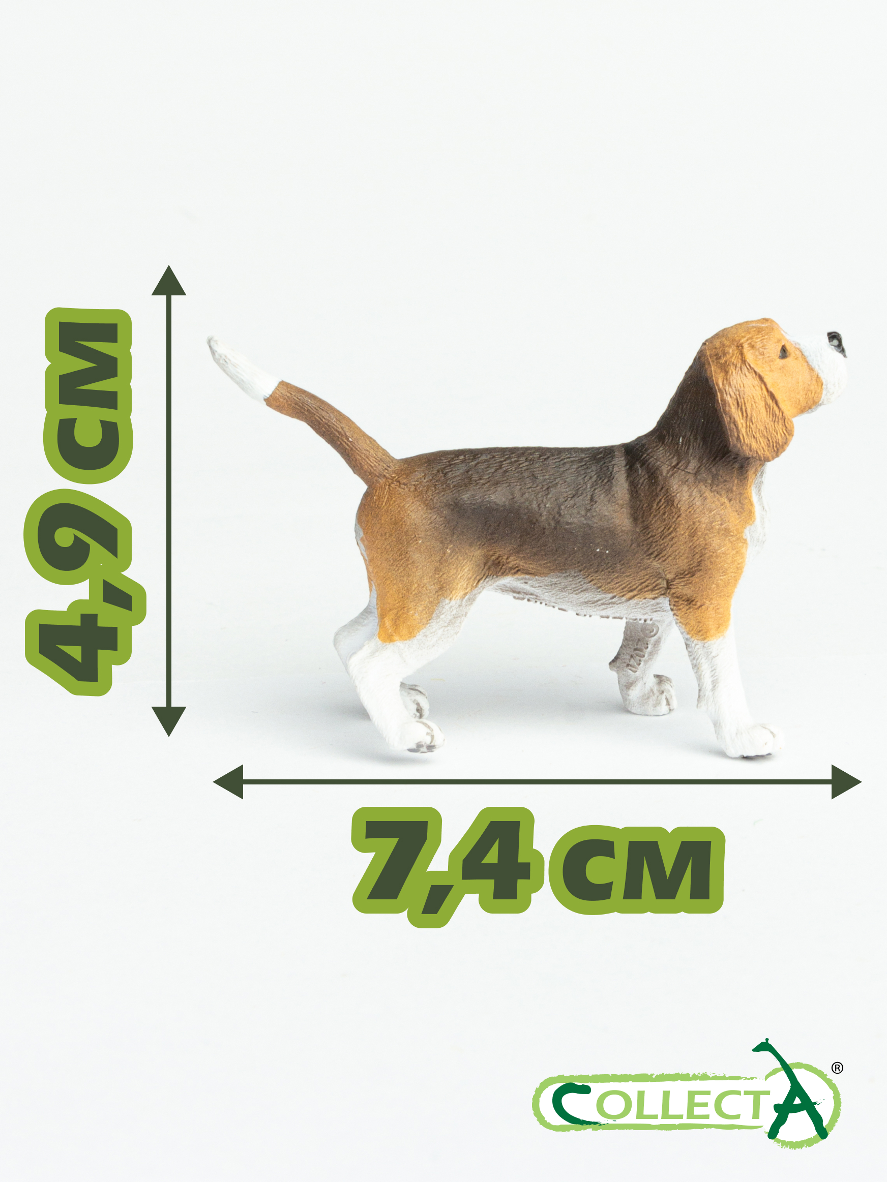 Фигурка Collecta Собака Бигль - фото 2