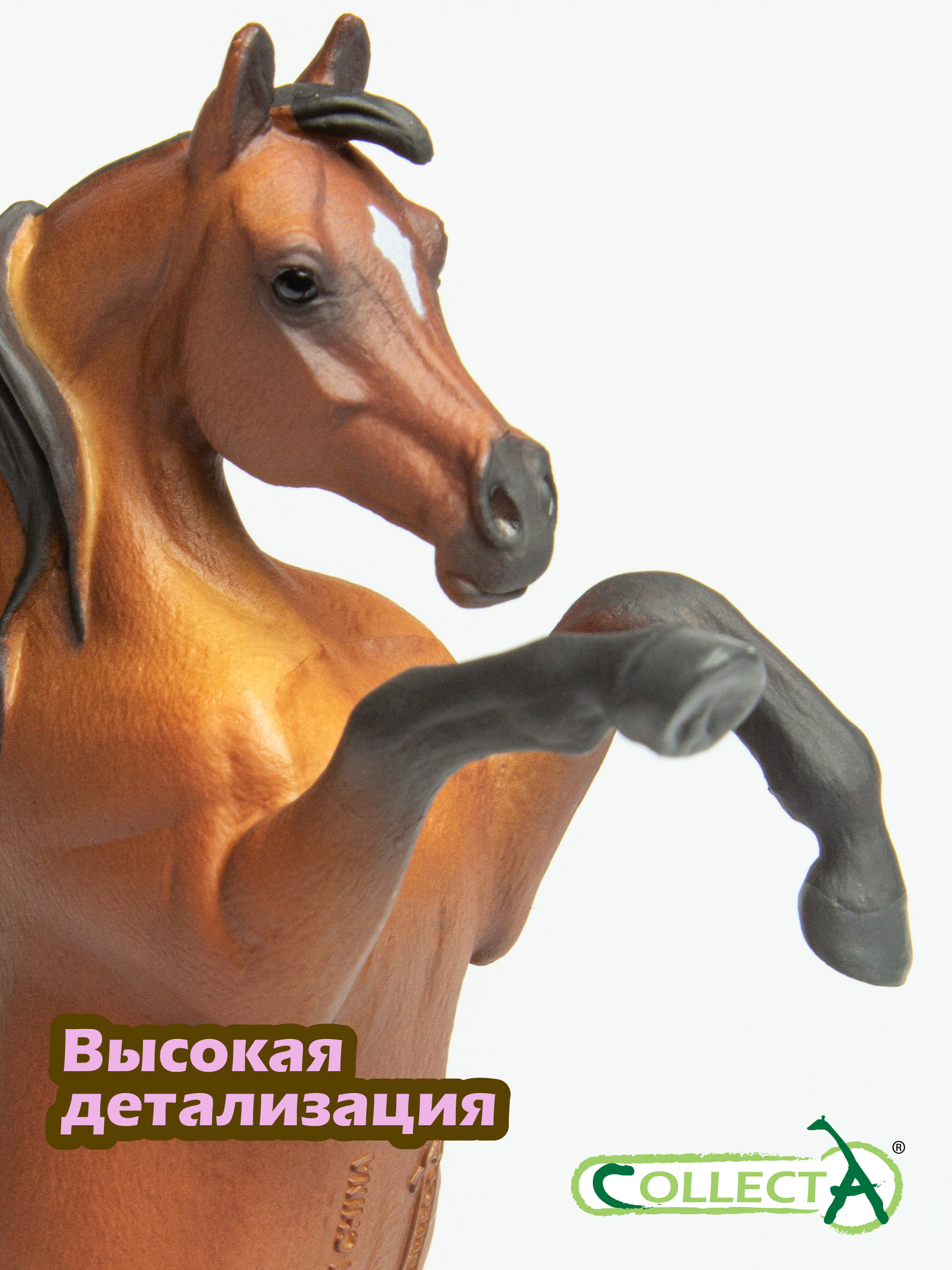 Фигурка Collecta Арабский гнедой жеребец - фото 3
