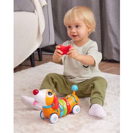 Игрушка BabyGo Радужный щенок 1142-NL