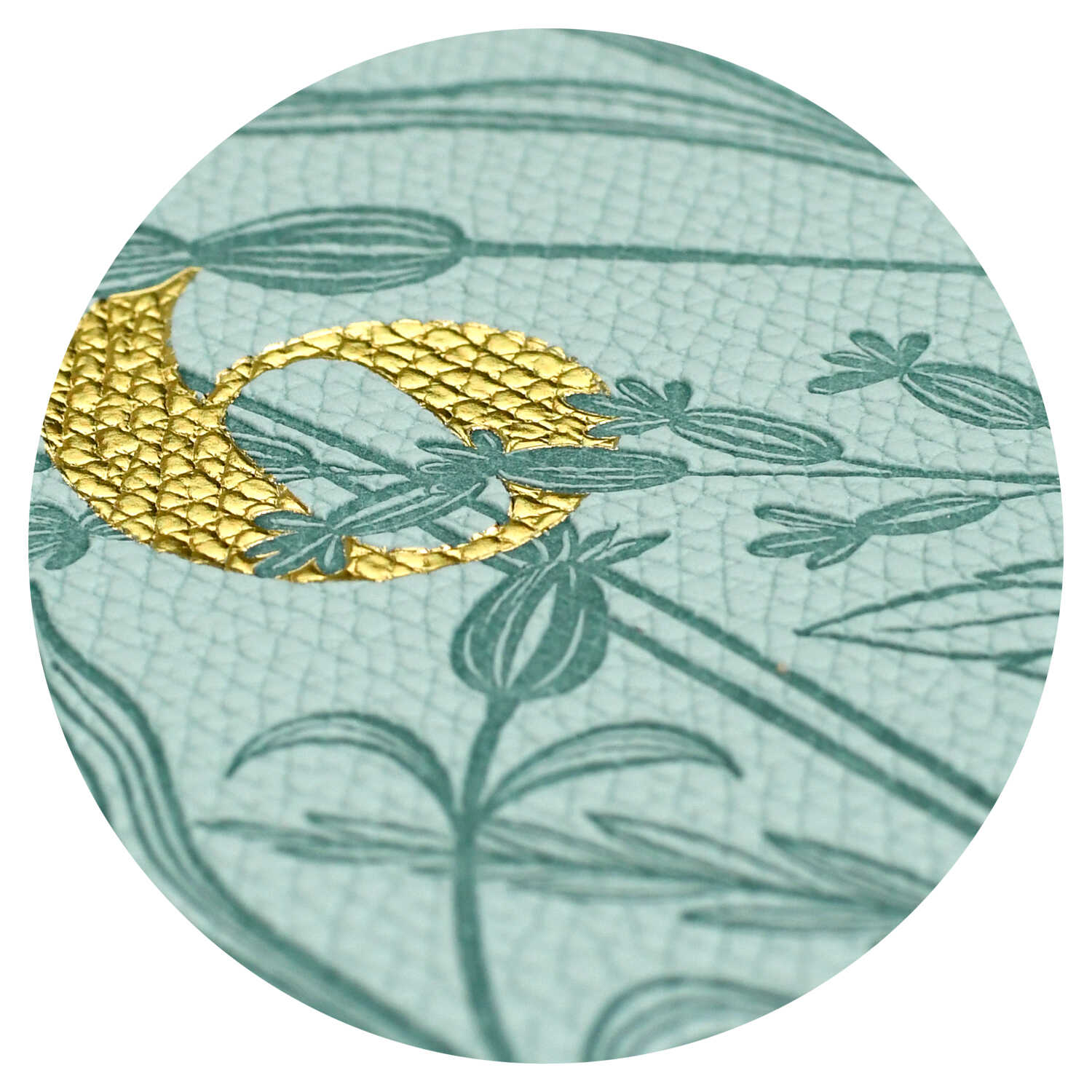 Ежедневник Феникс + ESCALADA 96 лист. - фото 2