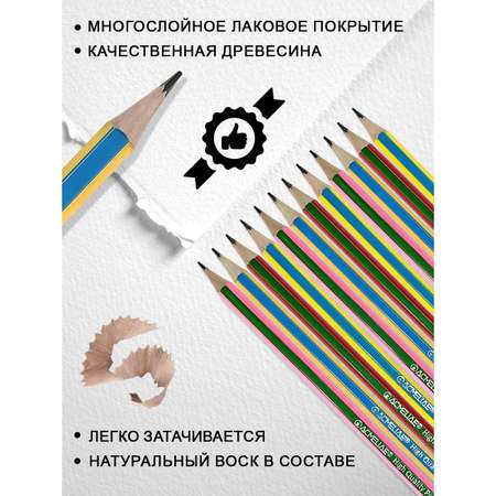 Карандаши чернографитные ACMELIAE 12 шт.