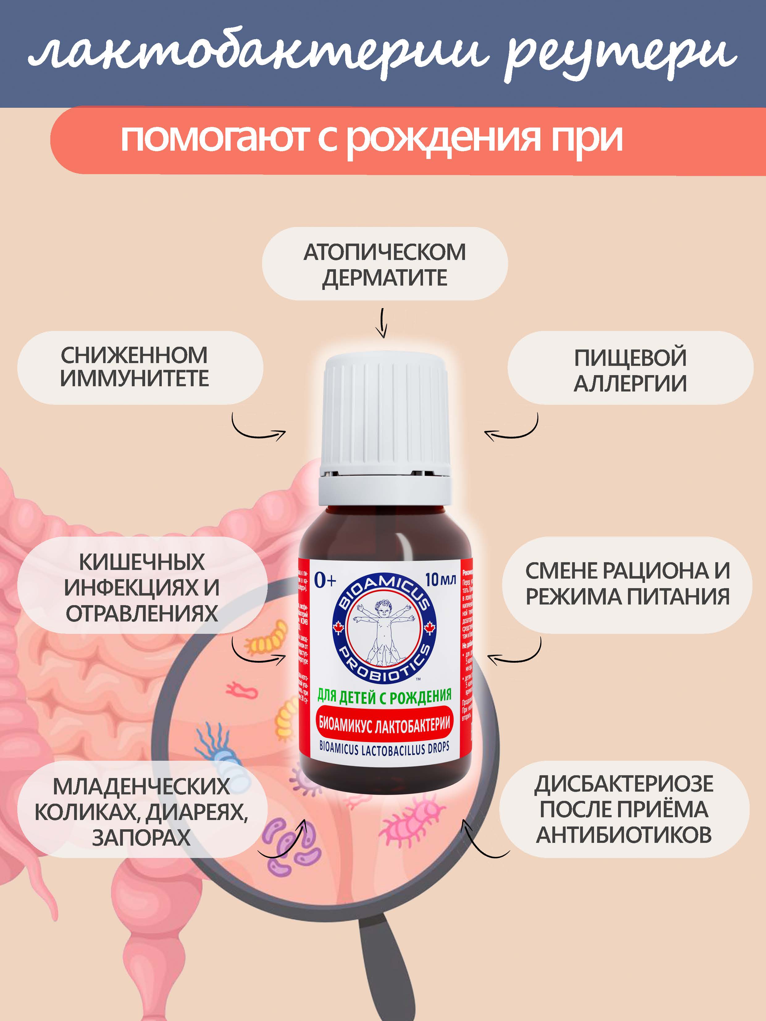 Пробиотик Лакто Реутери BioAmicus В каплях с рождения 10 мл - фото 5