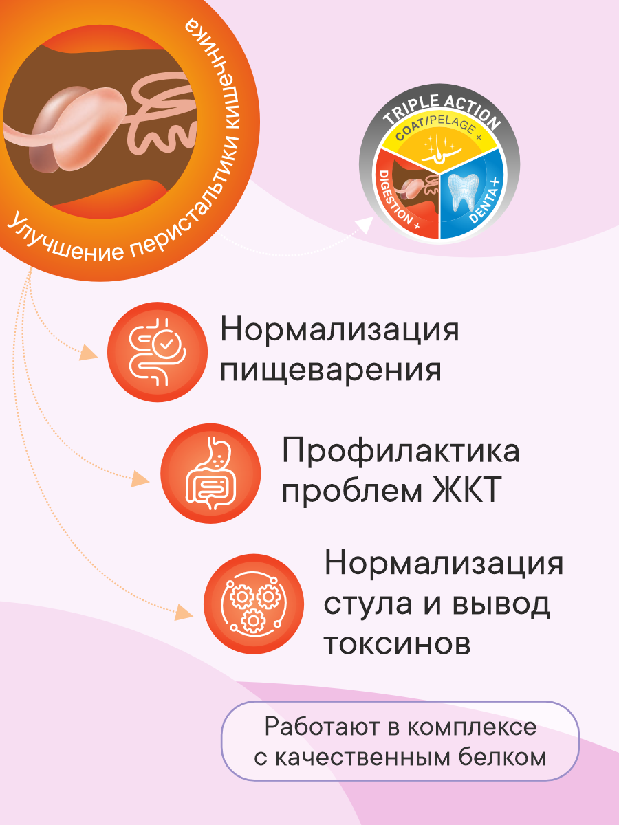 Корм сухой 1st Choice Здоровая кожа и шерсть для собак мелких пород на ягненке с рыбой и рисом 7кг - фото 2