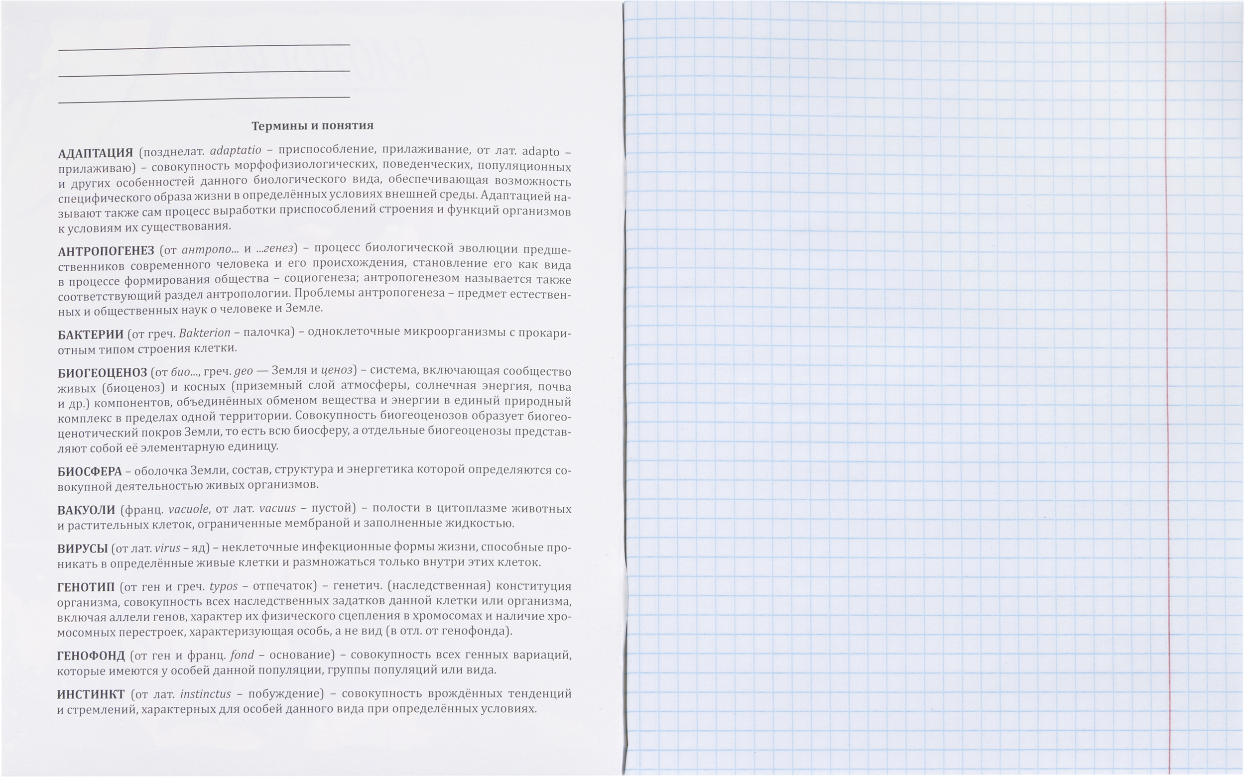 Тетрадь Комус клетка - фото 37