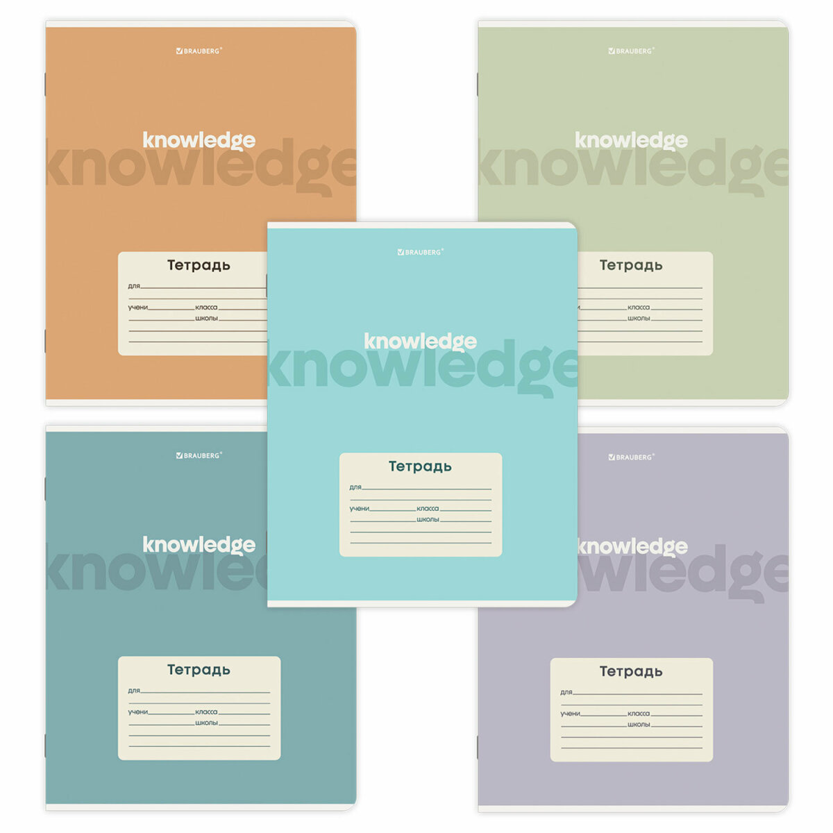 Общая тетрадь Brauberg клетка 12 лист. 10 шт. - фото 2