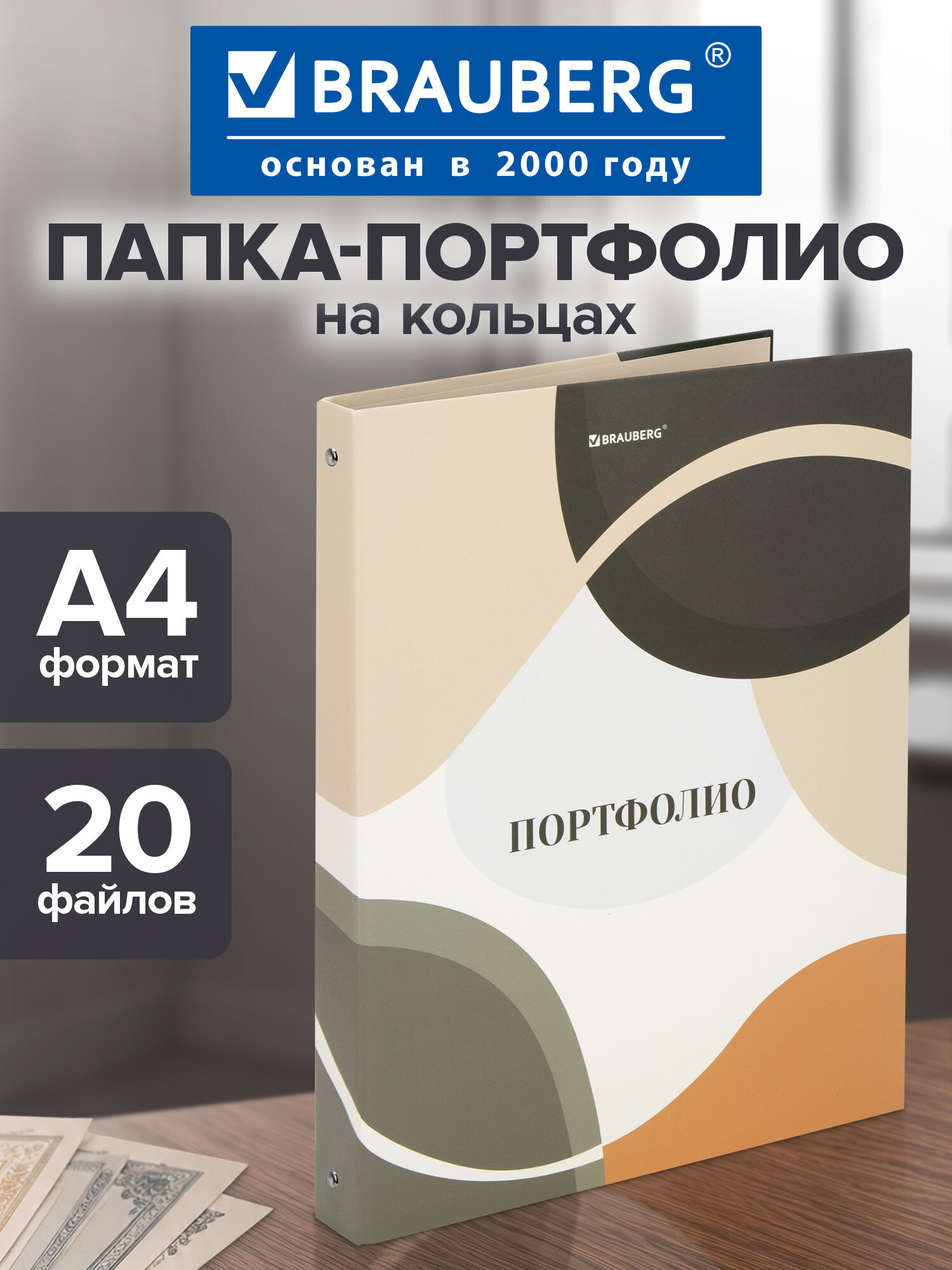 Портфолио школьника Brauberg папка А4 на кольцах 20 файлов для девочки и мальчика - фото 1