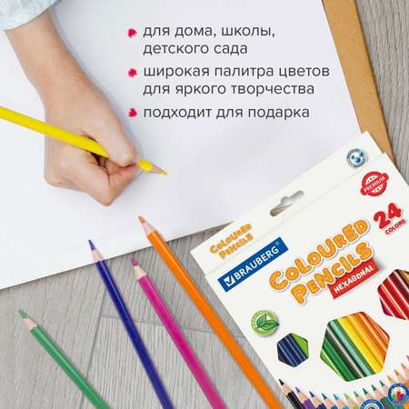 Карандаши цветные Brauberg 24 шт.