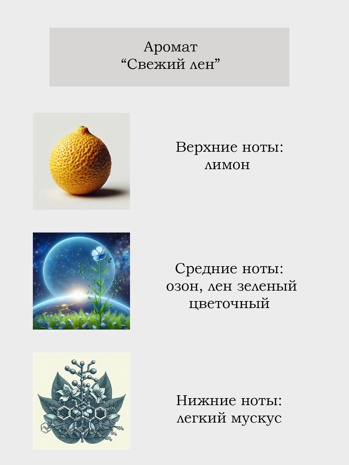 Диффузор для дома с палочками Plates and More Свежий лён 100 мл - фото 2